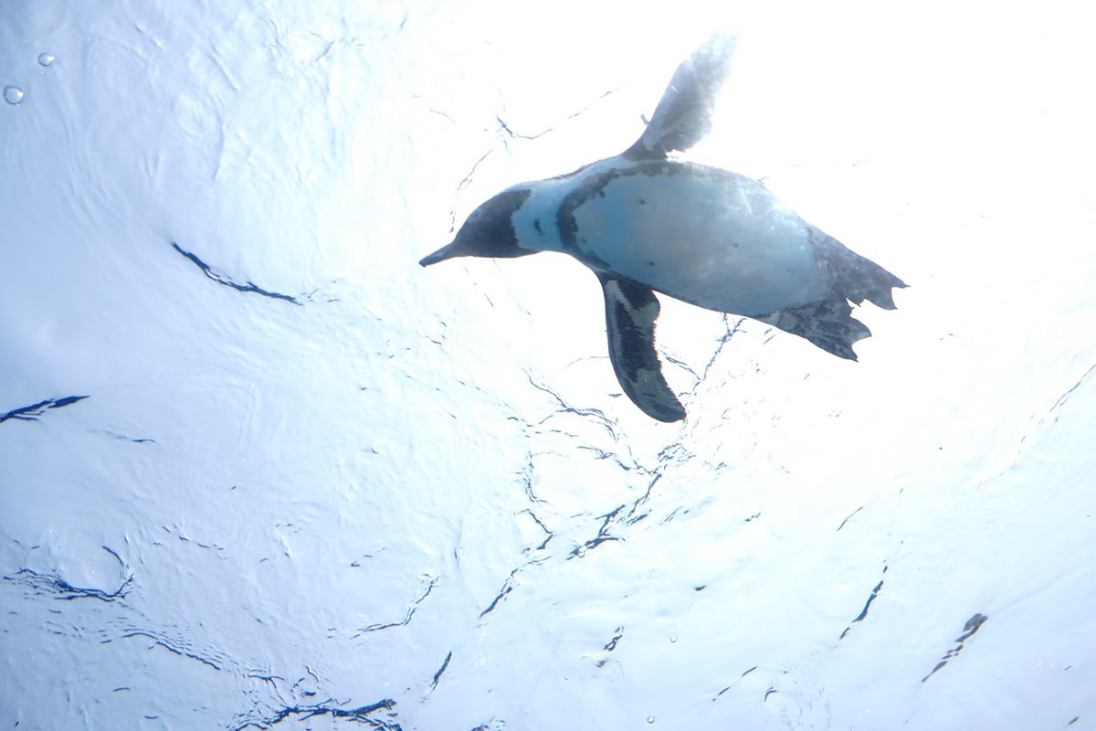 今日がどんな日であっても
どうか やさしい夜を
そして 明日という日もまた
やさしさに包まれますように
