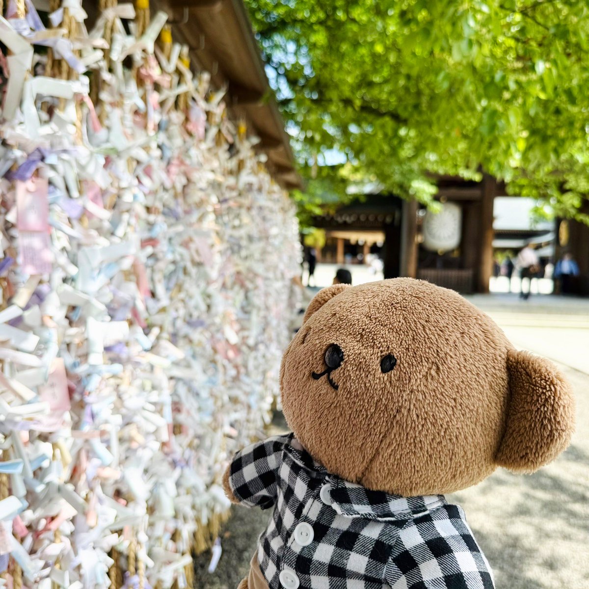 BorisPori's tweet image. 寒川神社で八方除け( ・ᴥ・ )✨