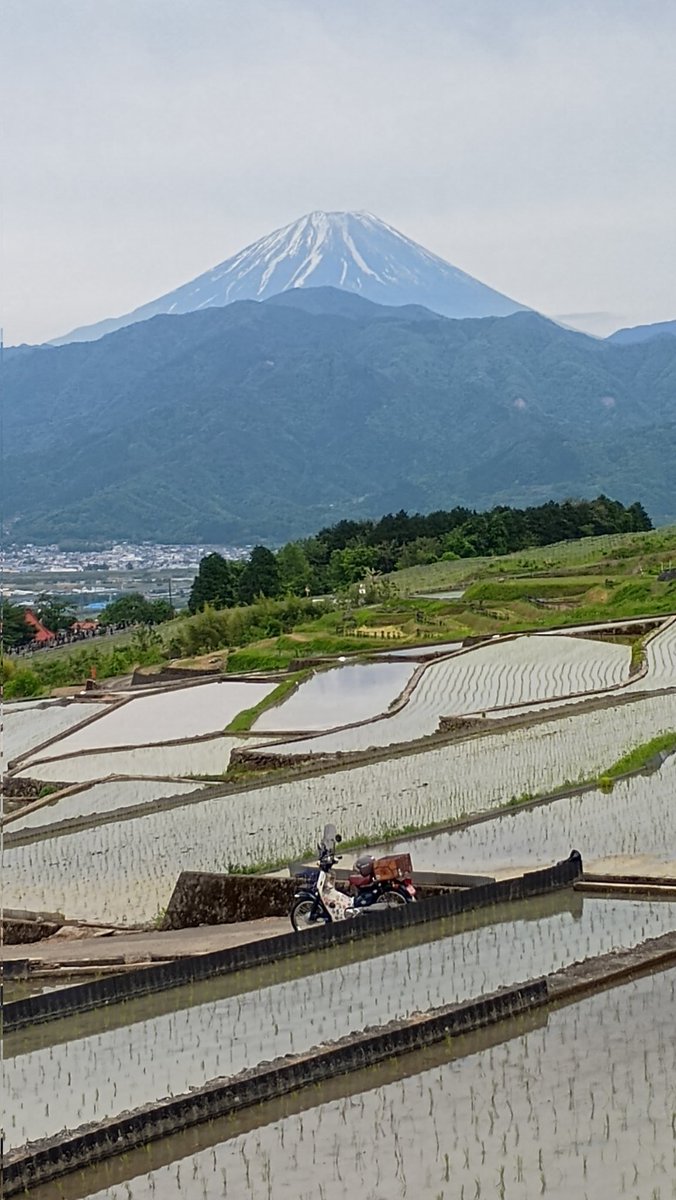 今日の厳選2枚
湯之奥猪之頭線と中野の棚田からの富士山
#スーパーカブ
#湯之奥猪之頭線
#湯之奥猪之頭トンネル
#中野の棚田