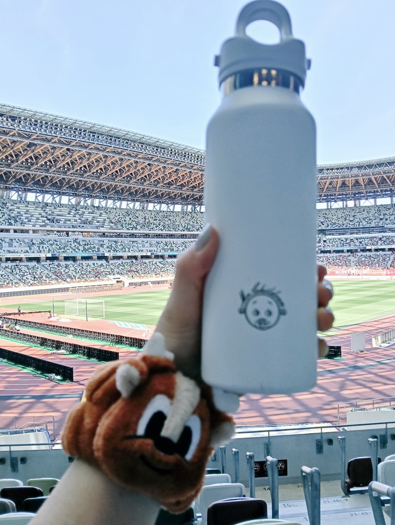 今年も国立にミスチルくんREVOMAXを連れて行った（1年振り2回目）
#国立鹿島