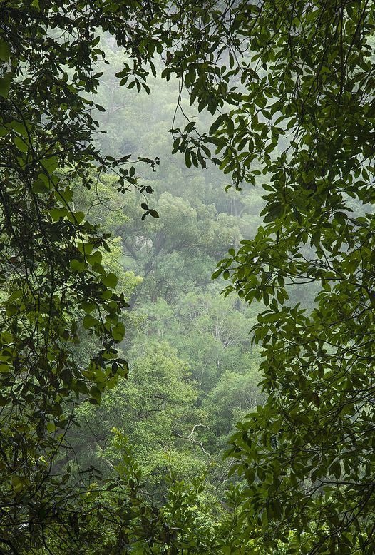 𝕰𝖑𝖊𝖒𝖒𝖎𝖗𝖊 (@elemmiressoul) on Twitter photo 