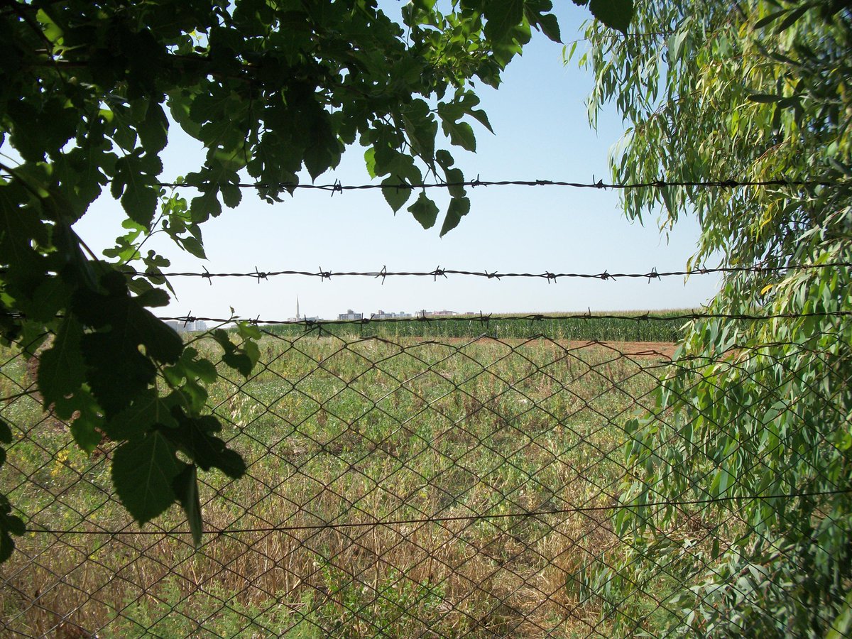aşkpirin 🦢🩷 (@yarimkalansurup) on Twitter photo "benim de parklarım var, uzanıver salkım saçak üstüme, dalımdan tut, 
benim de yapraklarım var güneşli gövdene müjde eli kulağında bahar..."
Haydar Ergülen "benim de parklarım var, uzanıver salkım saçak üstüme, dalımdan tut, 
benim de yapraklarım var güneşli gövdene müjde eli kulağında bahar..."
Haydar Ergülen