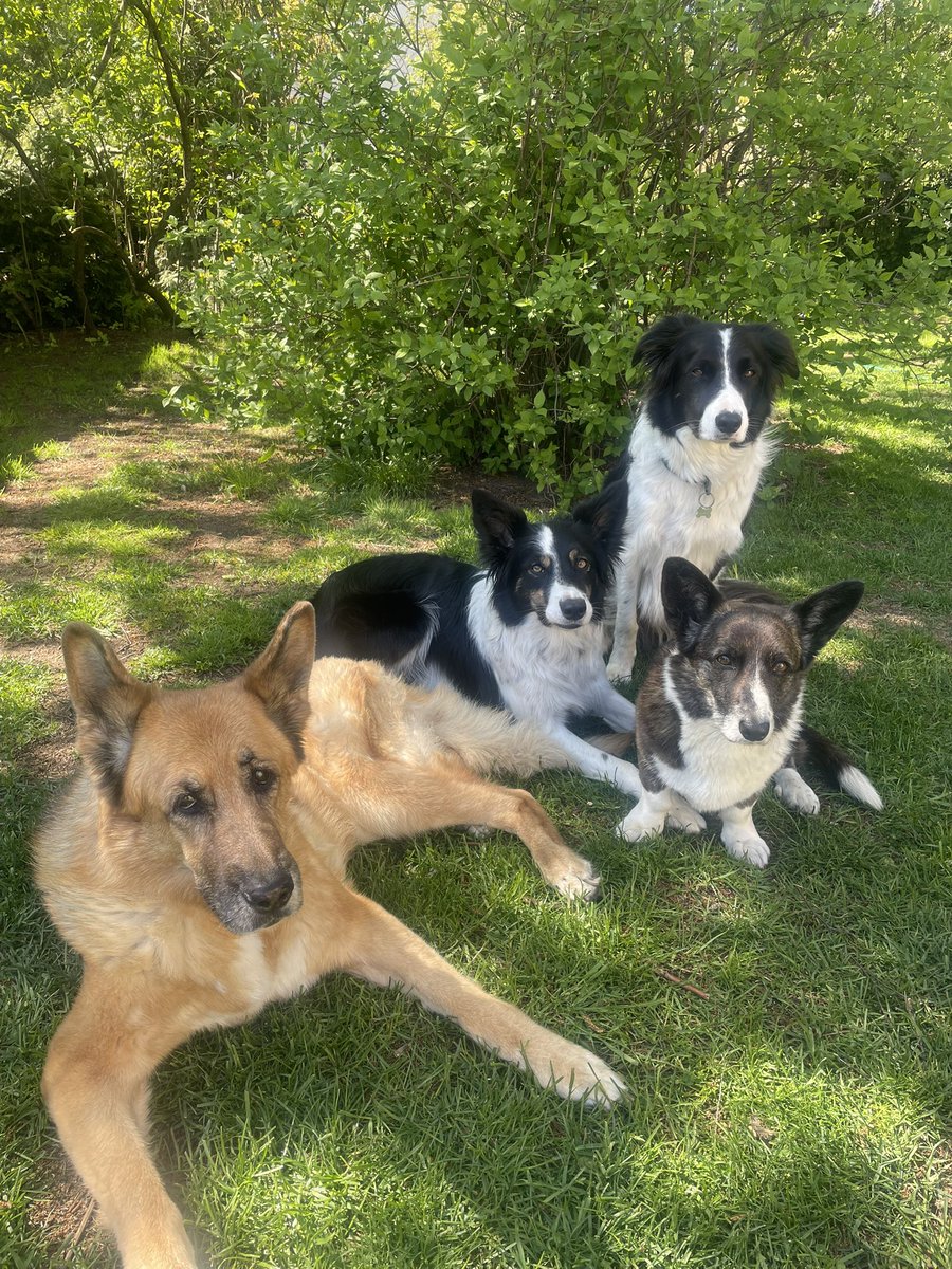 Karaliene māte un paplašinātais galms.