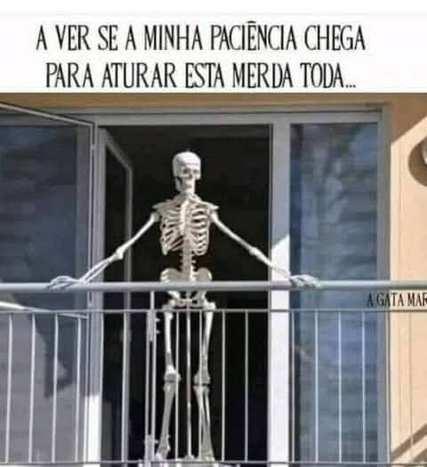 Haja paciência para aturar tanta estupidez, infelizmente eu...
