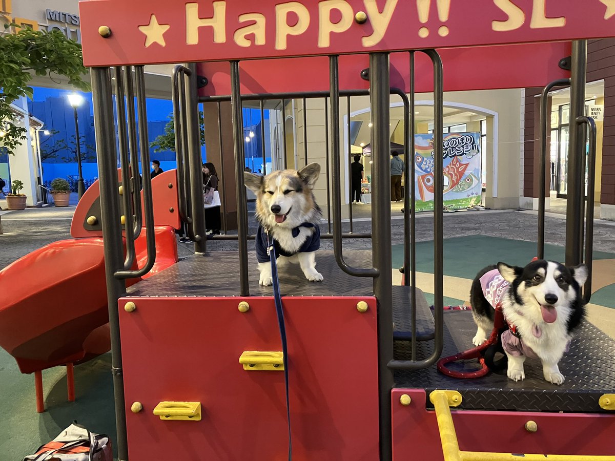 ゼロ本日病院🏥検査でした。数値安定して良い結果でした
来月の大学病院の検査も期待できそうです。
私の数値も改善してきてます
昨日は何も食べれず今日は何とかバナナ半分、牛乳コップに1杯飲めました。
今朝から発熱してますがそれも下がってきてます
ゼロと一緒に頑張ります