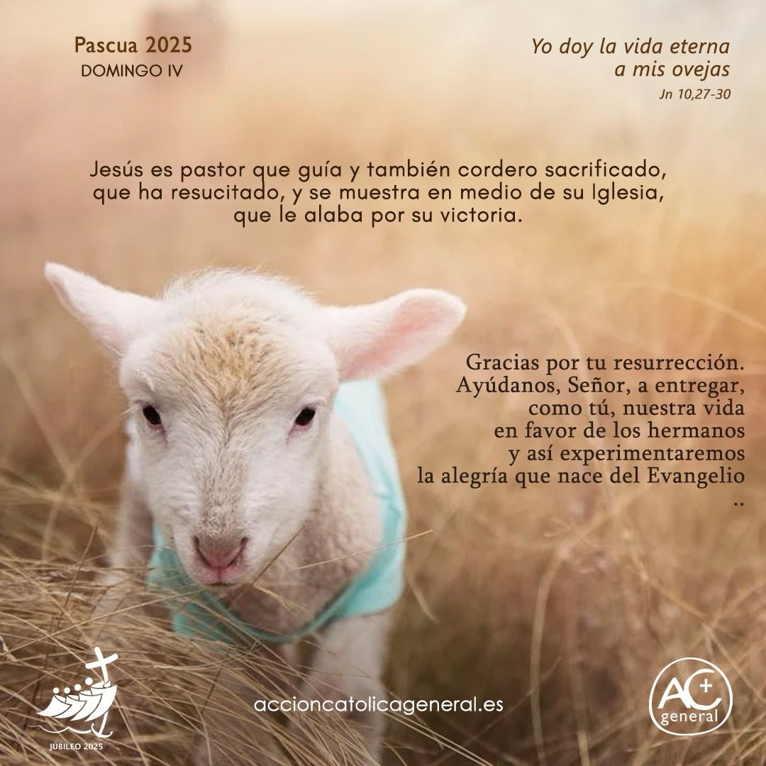 IV DOMINGO DE PASCUA