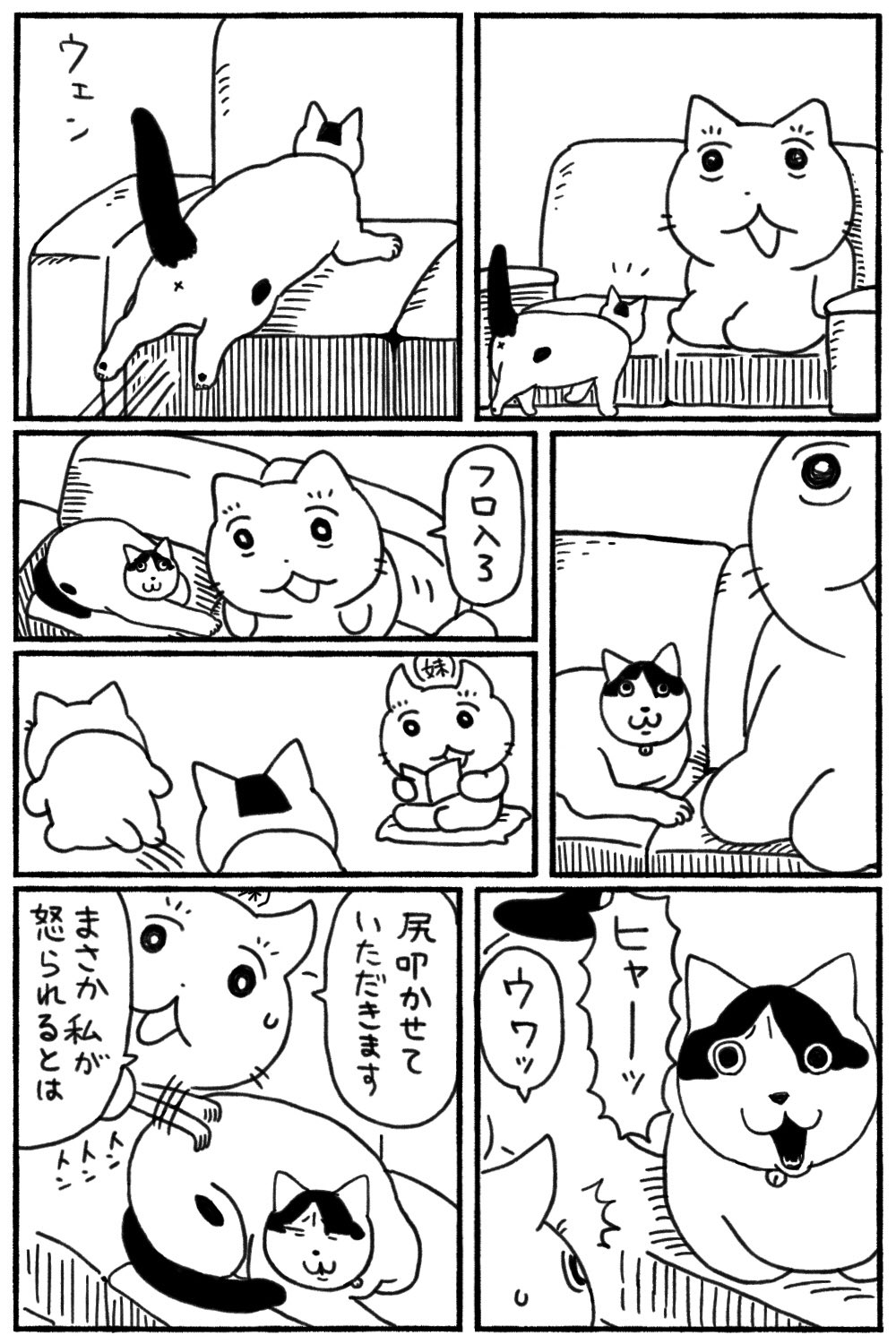 猫はかっておりません 81XDepMmR2L._UF350,350_QL50_.jpg