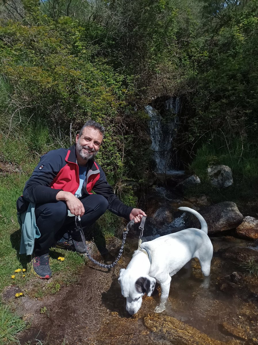 Carmen Simal tweet media