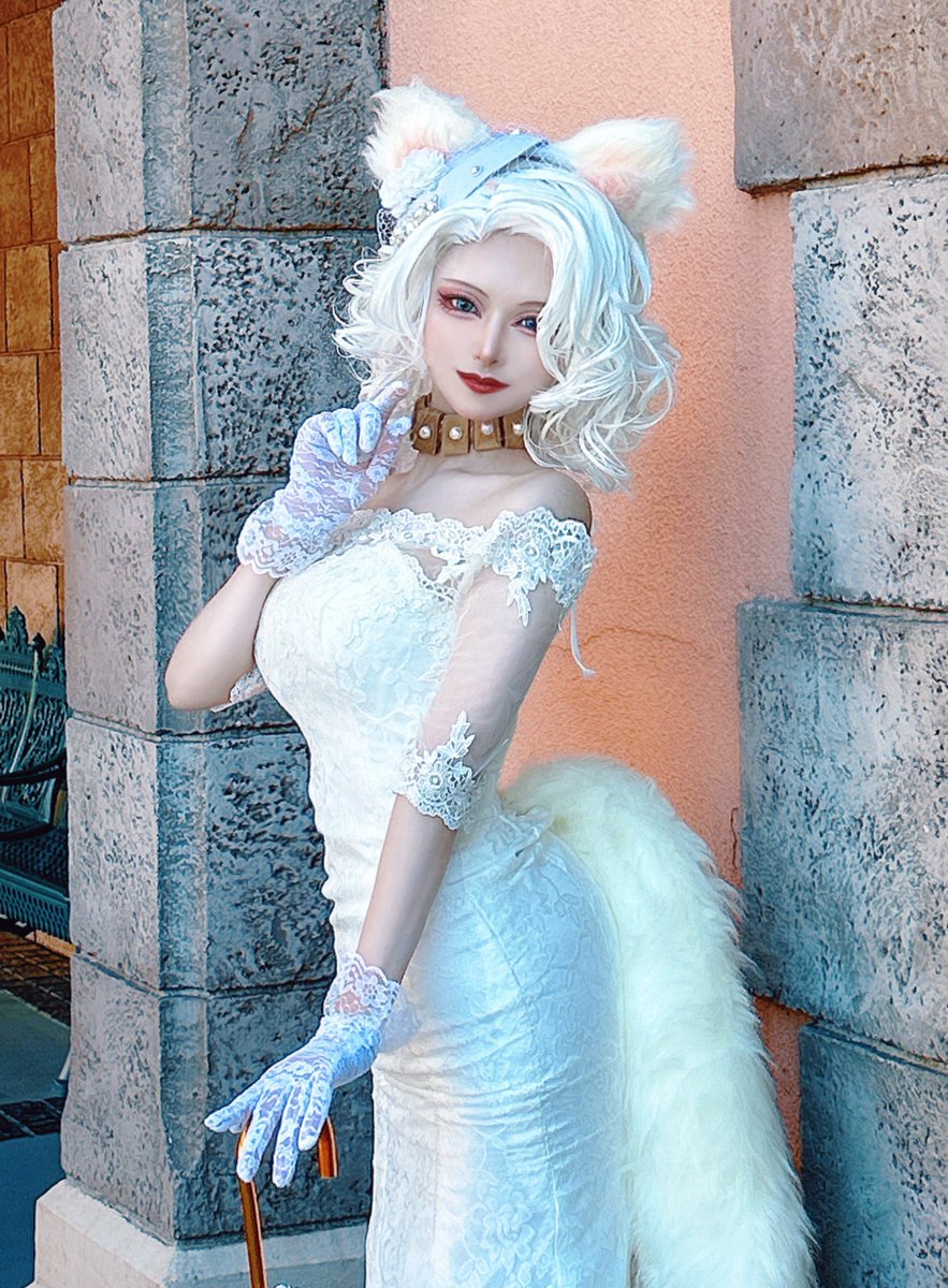 おしゃれキャット🐈】 ダッチェス 美しく気品にあふれた母親猫 #Dハロ