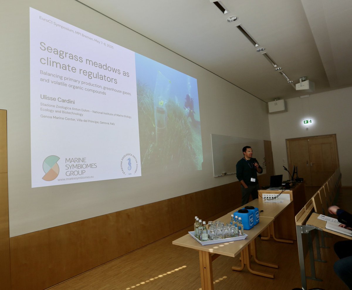 Eileen Kröber (@eileenkroeber) on Twitter photo Kicking off the scientific program with our first keynote speaker! Ulisse Cardini opened the EuroC1 Conference with a fascinating talk on “Seagrass meadows as climate regulators”. A great start to an exciting lineup of talks!
#EuroC1 #MarineScience #Seagrass <a href="/MarineMicrobio/">Max Planck Institute for Marine Microbiology</a> Kicking off the scientific program with our first keynote speaker! Ulisse Cardini opened the EuroC1 Conference with a fascinating talk on “Seagrass meadows as climate regulators”. A great start to an exciting lineup of talks!
#EuroC1 #MarineScience #Seagrass <a href="/MarineMicrobio/">Max Planck Institute for Marine Microbiology</a>