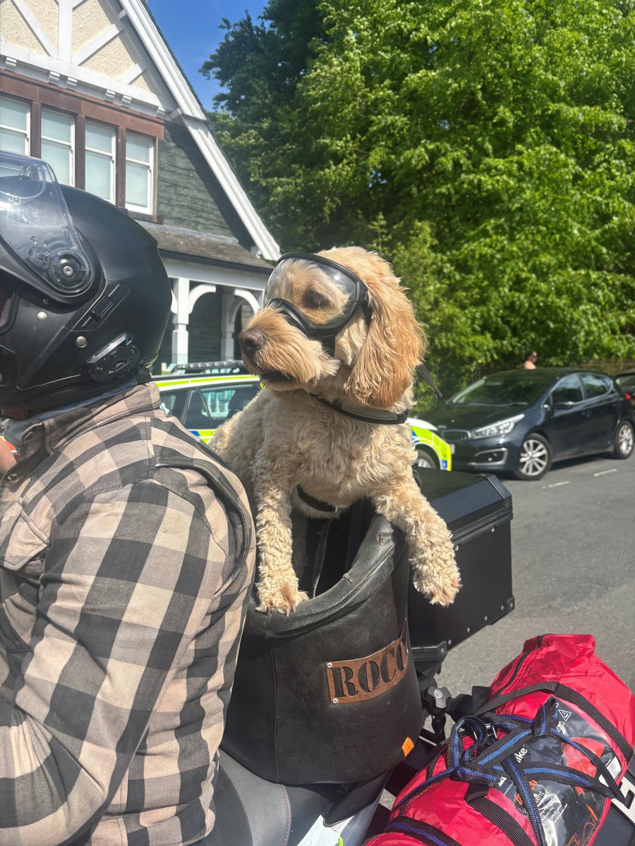 Allerdale Police (@allerdalepolice) on Twitter photo Whilst PCSO Harris & PC Ostle were in Keswick today on enquires they met with the gorgeous pillion Rocco who was out enjoying the weather. Whilst PCSO Harris & PC Ostle were in Keswick today on enquires they met with the gorgeous pillion Rocco who was out enjoying the weather.
