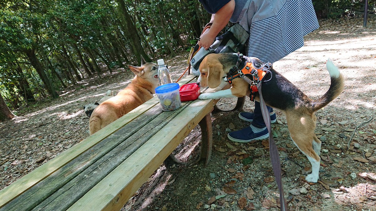 今朝､早い時間
近所の公園にお散歩行ってきたんよ