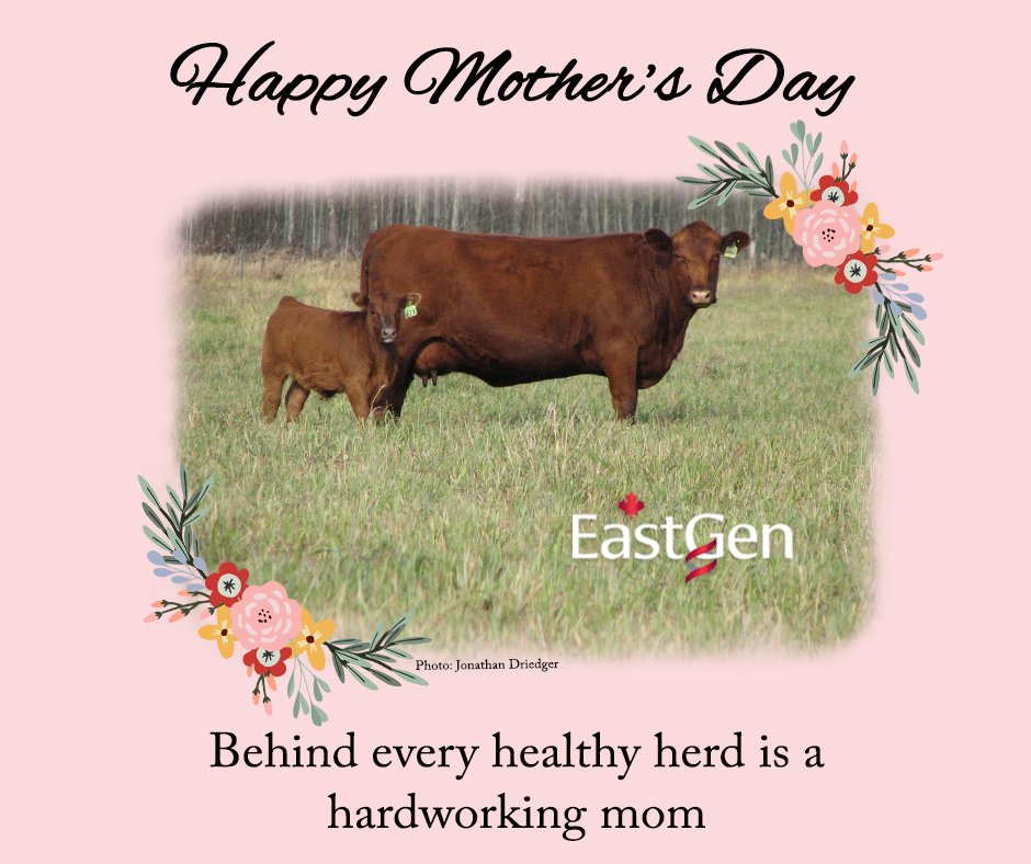 Celebrating all the incredible moms today — thank you for everything you do!

Happy Mother’s Day from all of us at EastGen! 🌷💖🌼