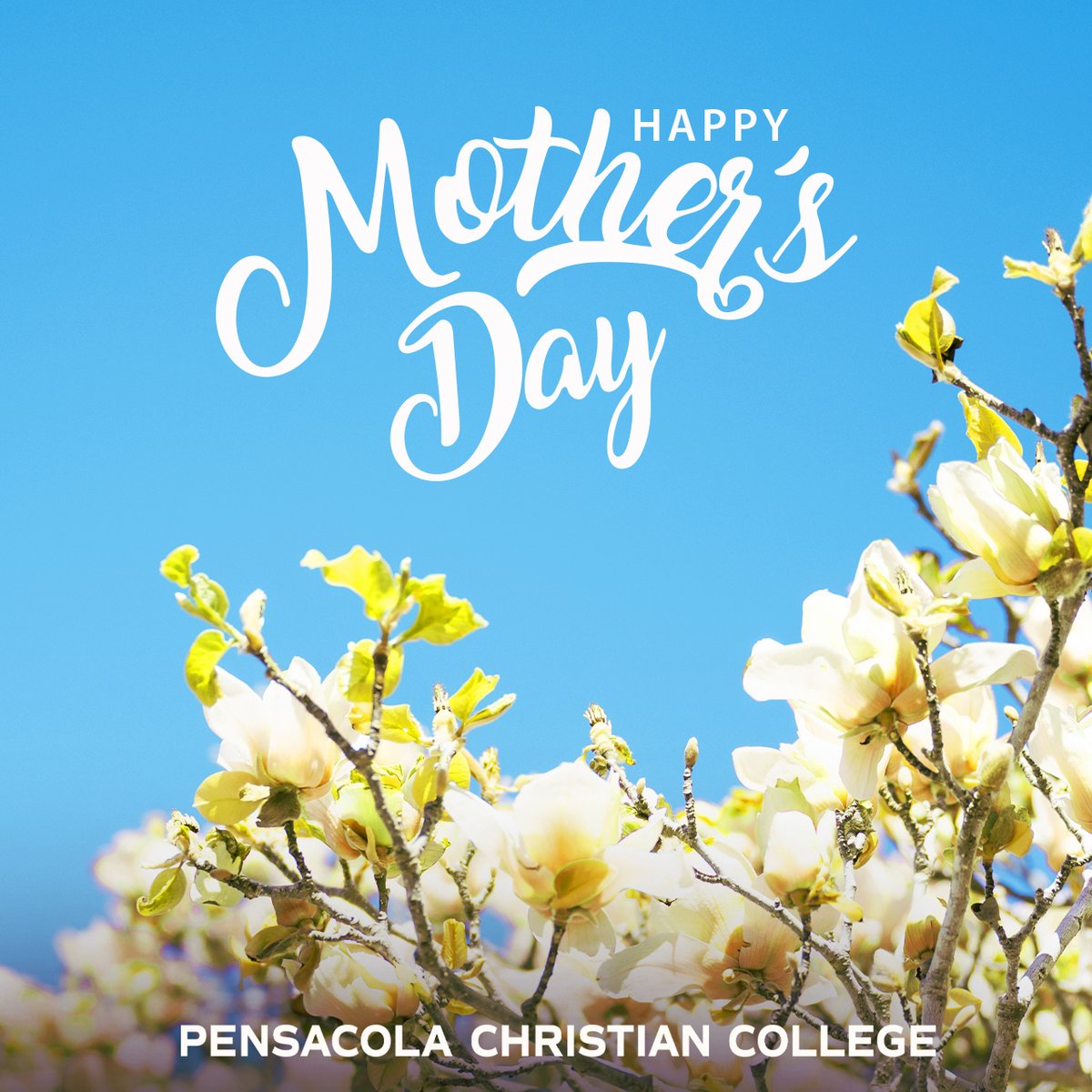 ConnectPCC's tweet image. Behind so many moments of courage and growth in a student’s life is a mother who’s been praying, listening, and cheering from the background. 💙
From all of us at PCC—Happy Mother’s Day, and thank you for the difference you make every single day. 🌼