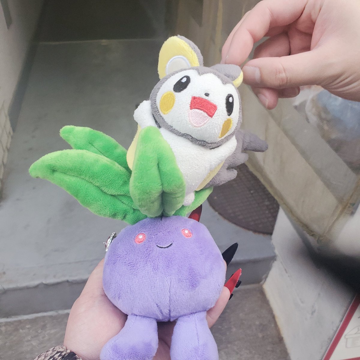 全日本ナゾノクサ振興協会 (@nazzo_nazzo) / Posts / X