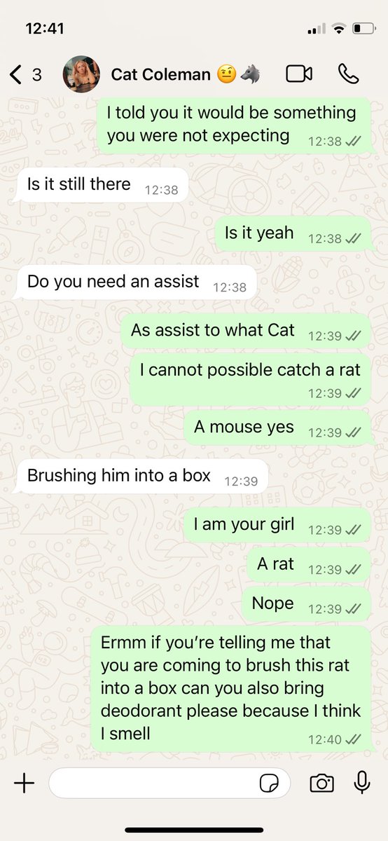 SamStylesx's tweet photo. Six years later and she’s still saving me from rats ❤️ https://t.co/g6IYEFPtql