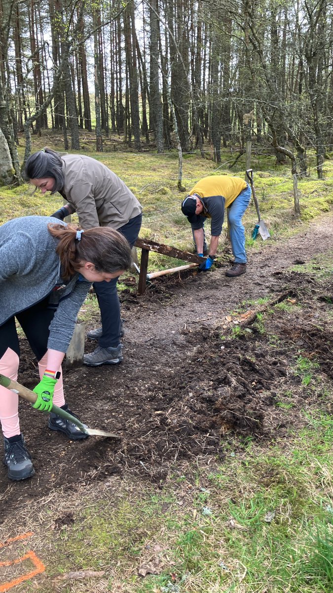 On 29-4-25 OATS' volunteers teamed up with Glenlivet Estate Rangers, Phoenix Futures group and Cairngorms National Park Volunteer Rangers to improve a section of the Tomintoul Spur route. New drainage was installed, and the path got a brand-new surface. Well done all!