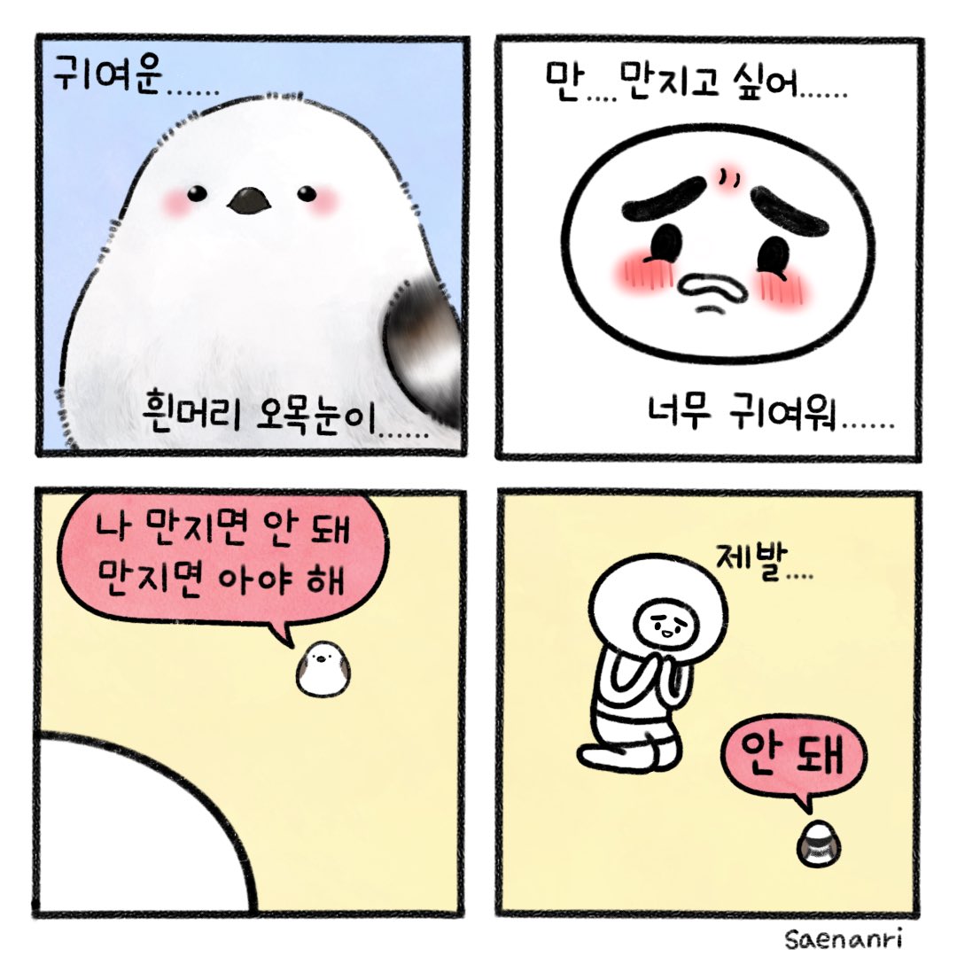 플라토닉 러브