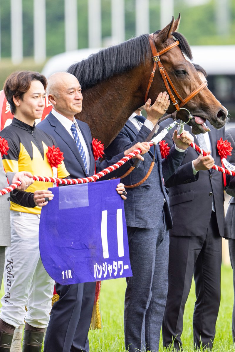 アゴをすりすりしてもらって、ご満悦のパンジャタワー