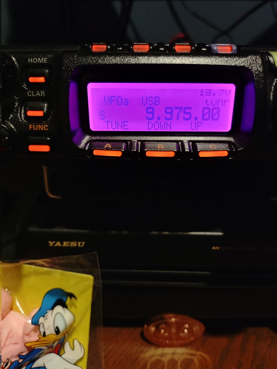 メッチャ久しぶりに聞けた🌴
#ktwr