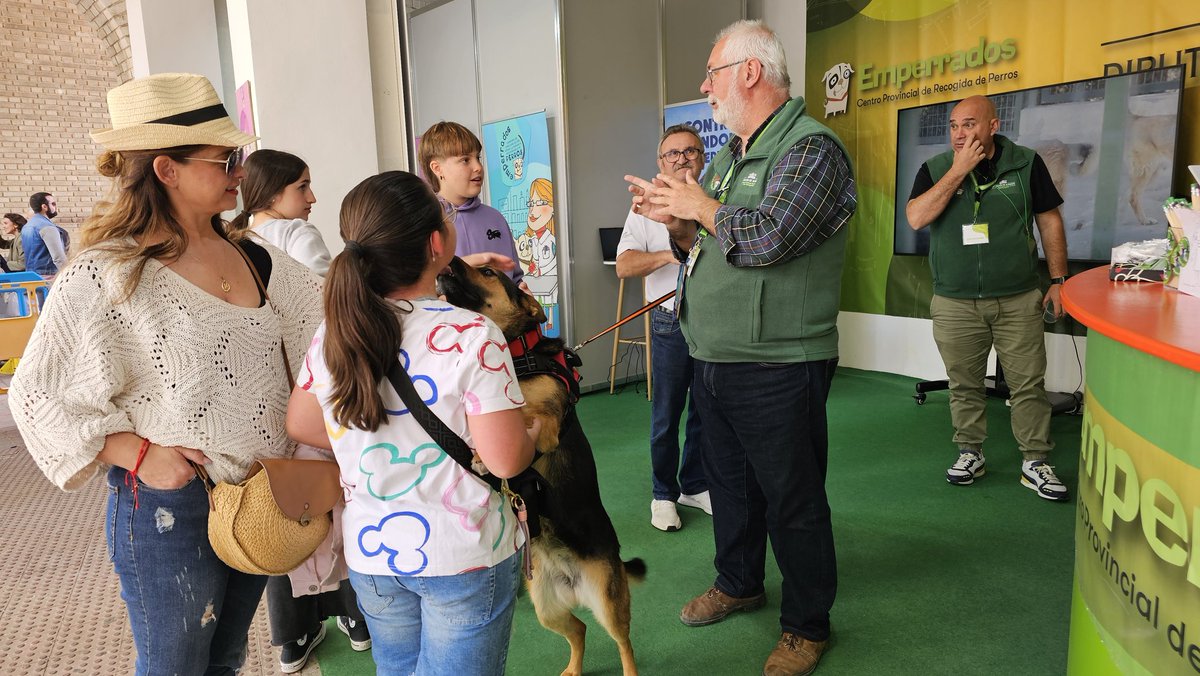 dipualba's tweet photo. ¡Nuestr@s perrit@s siguen derrochando cariño desde el #estand de #Emperrados #Dipualba en #Expovicaman!
Ésta es #Fechi 🐕🦺❤️. En agosto cumple 2 añitos y está siendo la gran #estrella del domingo en este punto de la feria
#AdoptaUnAmigoFiel en nuestra web https://t.co/9S6hMwzuyD https://t.co/ueUSedw0q2