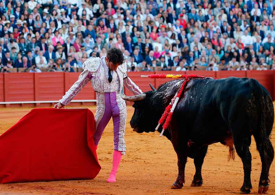 SEVILLA TAURINA (@sevillataurina) on Twitter photo CRÓNICA ST.- Huelva tiene un nuevo torero para la Fiesta / OPINIÓN ST.- "Saltó la sorpresa" (sevillataurina.com/2025/05/10/387…) <a href="/sevillataurina/">SEVILLA TAURINA</a> <a href="/ManoloVieraN/">Manolo Viera</a> <a href="/Toromedia12/">Toromedia</a> <a href="/isanchezmejias/">Ignacio Sánchez-Mejías</a> <a href="/maestranzapages/">La Maestranza-Pagés</a> <a href="/UTAMAESTRANZA/">Unión Taurina de Abonados y Aficionados de Sevilla</a> <a href="/eromerotpt/">Enrique Romero</a> <a href="/InfoDanielLuque/">Daniel Luque</a> <a href="/DavDeMiranda/">David de Miranda</a> <a href="/Cayetano_Rivera/">Cayetano</a> <a href="/RocaRey/">Andrés Roca Rey</a> CRÓNICA ST.- Huelva tiene un nuevo torero para la Fiesta / OPINIÓN ST.- "Saltó la sorpresa" (sevillataurina.com/2025/05/10/387…) <a href="/sevillataurina/">SEVILLA TAURINA</a> <a href="/ManoloVieraN/">Manolo Viera</a> <a href="/Toromedia12/">Toromedia</a> <a href="/isanchezmejias/">Ignacio Sánchez-Mejías</a> <a href="/maestranzapages/">La Maestranza-Pagés</a> <a href="/UTAMAESTRANZA/">Unión Taurina de Abonados y Aficionados de Sevilla</a> <a href="/eromerotpt/">Enrique Romero</a> <a href="/InfoDanielLuque/">Daniel Luque</a> <a href="/DavDeMiranda/">David de Miranda</a> <a href="/Cayetano_Rivera/">Cayetano</a> <a href="/RocaRey/">Andrés Roca Rey</a>