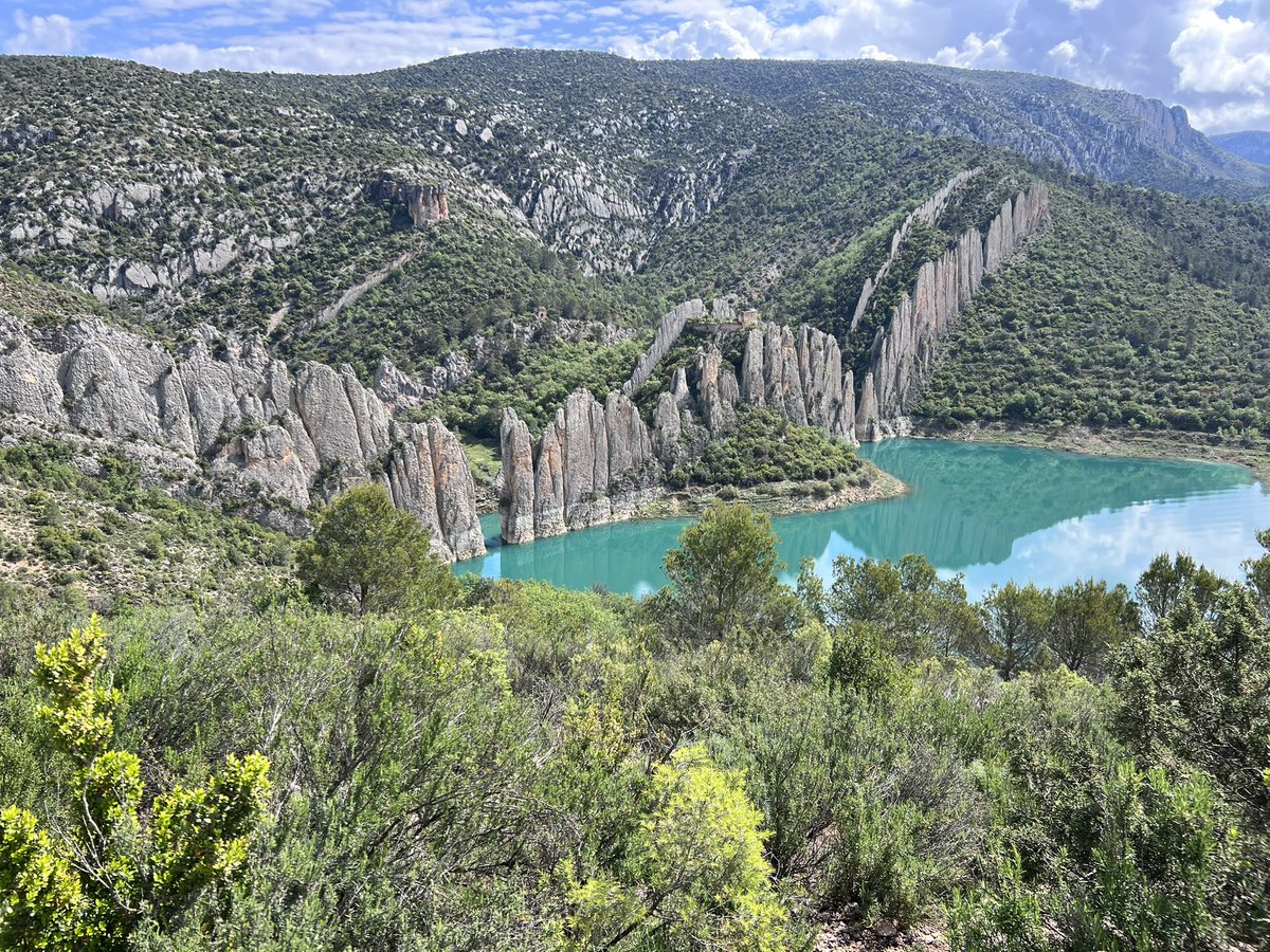 ChedeHuesca's tweet photo. #Finestres https://t.co/Pb2IYdOQOd