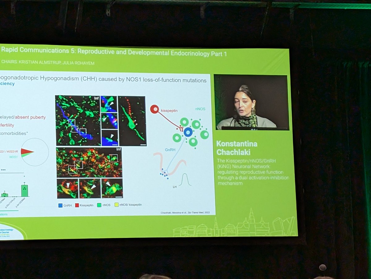 drsashahoward's tweet image. Super talk on the KiNG network by Konstantina Chachlaki at the joint ESE-ESPE meeting #connectingendocrinology @NeuroendoLille