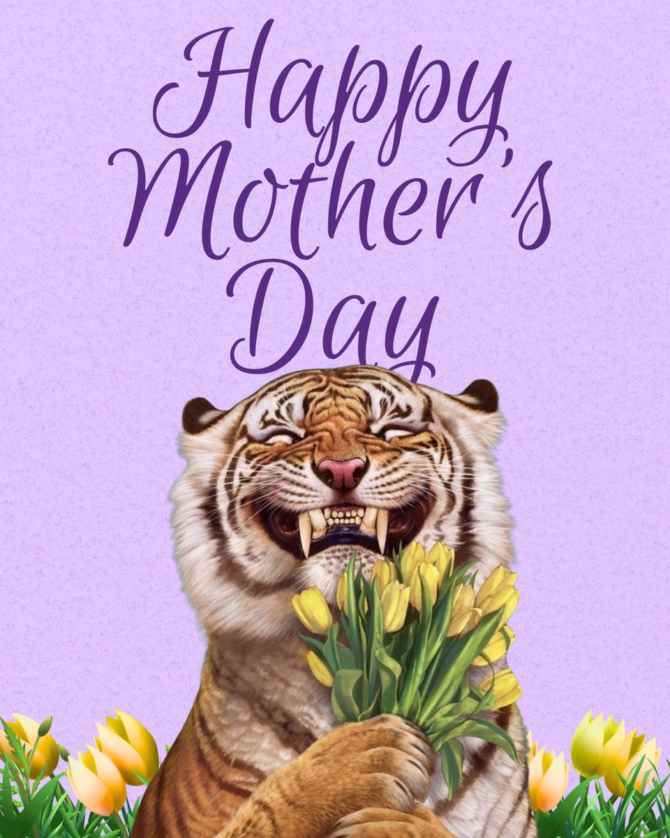 Happy Mother’s Day to all the Tiger mommas out there💜🌷
