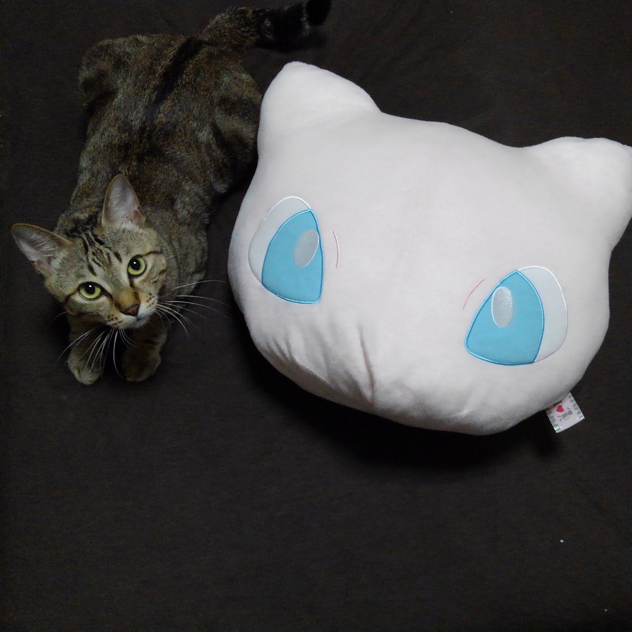 猫ちゃん かわいい♡Xmas猫ちゃん② ギフトバッグ☆小物入れ