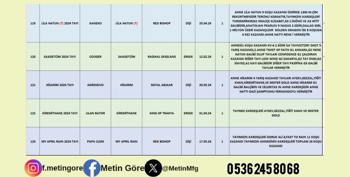 MetinMfg's tweet photo. Elit taylar satışa sunulmuştur #İngilizTaylar #Yearling #Tjk #Hipodrom #hara #Çiftlik #TaySatış 0536 245 80 68 @varmitalipcomtr #kaneko,#Cooger, #Agressivo, #Ulanbator ve #PapaClem tayları satışa sunulmuştur @GkhanYILDIZ10 @metinozdil02 @patronaholi @aslantepeli4 @enginbekir https://t.co/yttzqGsh6Q