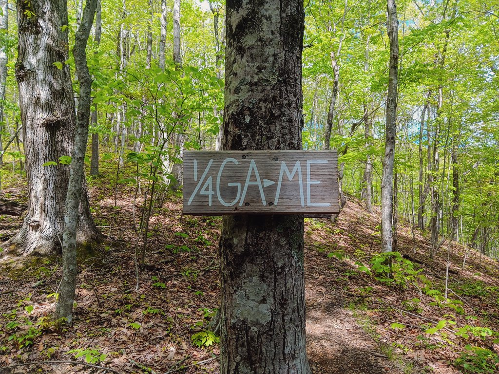 gabfrab's tweet photo. Some recent accomplishments on the 2200 mile Appalachian Trail:

- 25% completion
- hit 600 miles
- first 20+ mile day
- shit by fresh bear shit
- jacked off in an old mansion in the same room that the first ever AT thru-hiker slept in https://t.co/FQS24ZgU6S