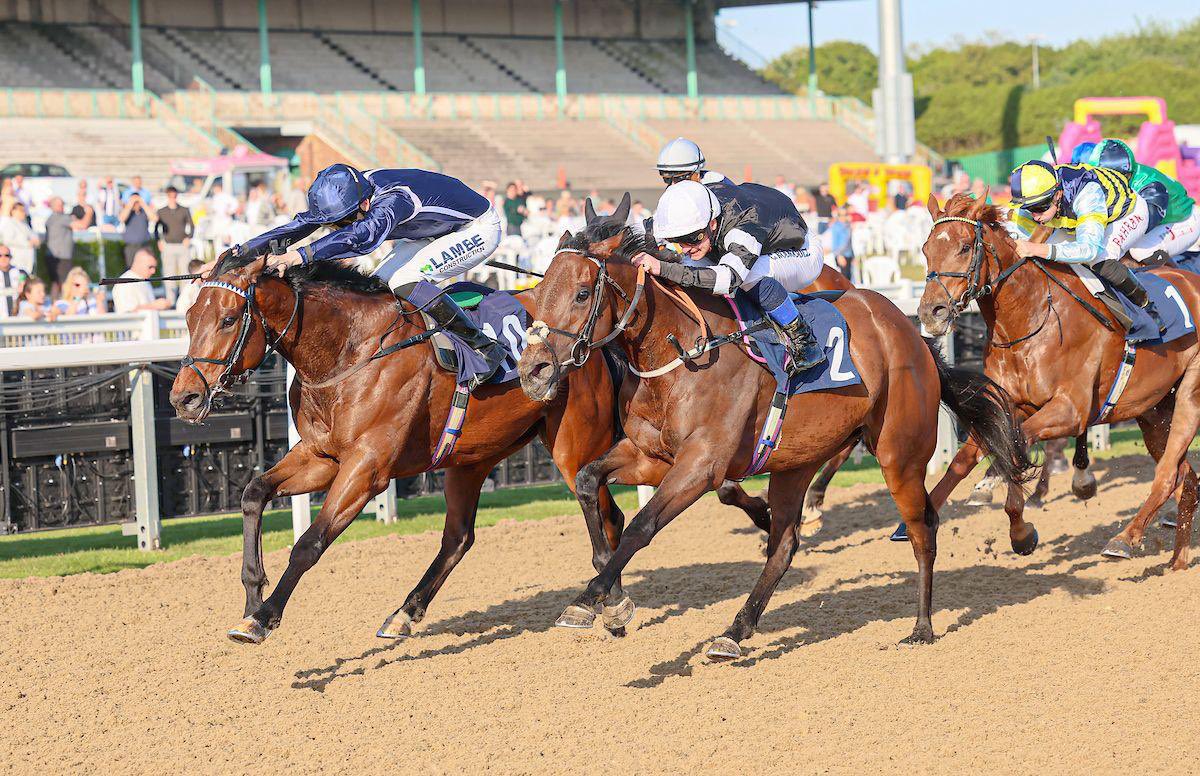 George Boughey Racing (@gbougheyracing) on Twitter photo MCKENNA got back to winning ways <a href="/NewcastleRaces/">Newcastle Racecourse</a> under <a href="/loughnane_billy/">Billy Loughnane</a> - well done to Shylock MCKENNA got back to winning ways <a href="/NewcastleRaces/">Newcastle Racecourse</a> under <a href="/loughnane_billy/">Billy Loughnane</a> - well done to Shylock