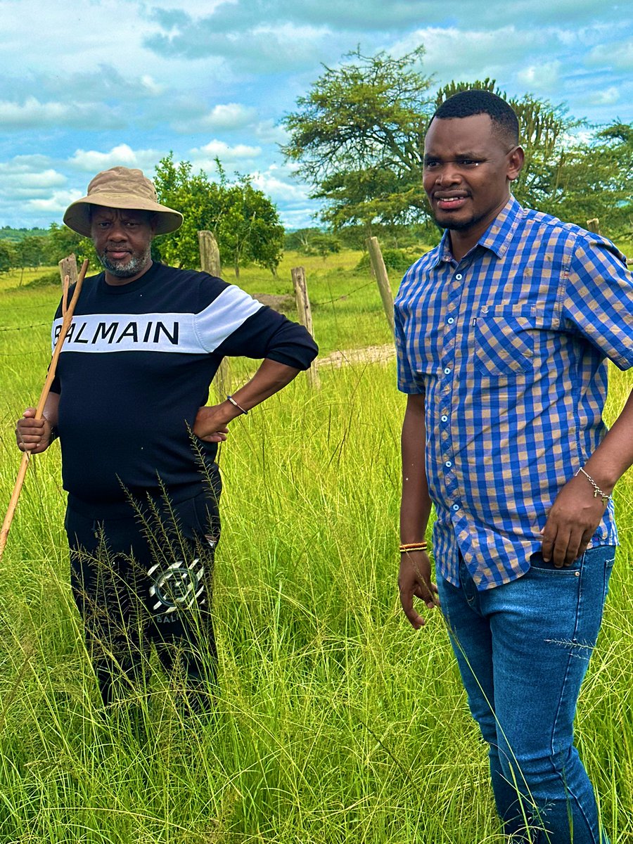 Novine Farm π§βπΎ (@novine_farm) on Twitter photo Yebare kurisagye, <a href="/ChairmanToyota/">Team Chairman MK Project</a>
I was super inspired by your deliberate breeding practices to select for superior traits among #AnkoreCattle Yebare kurisagye, <a href="/ChairmanToyota/">Team Chairman MK Project</a>
I was super inspired by your deliberate breeding practices to select for superior traits among #AnkoreCattle
