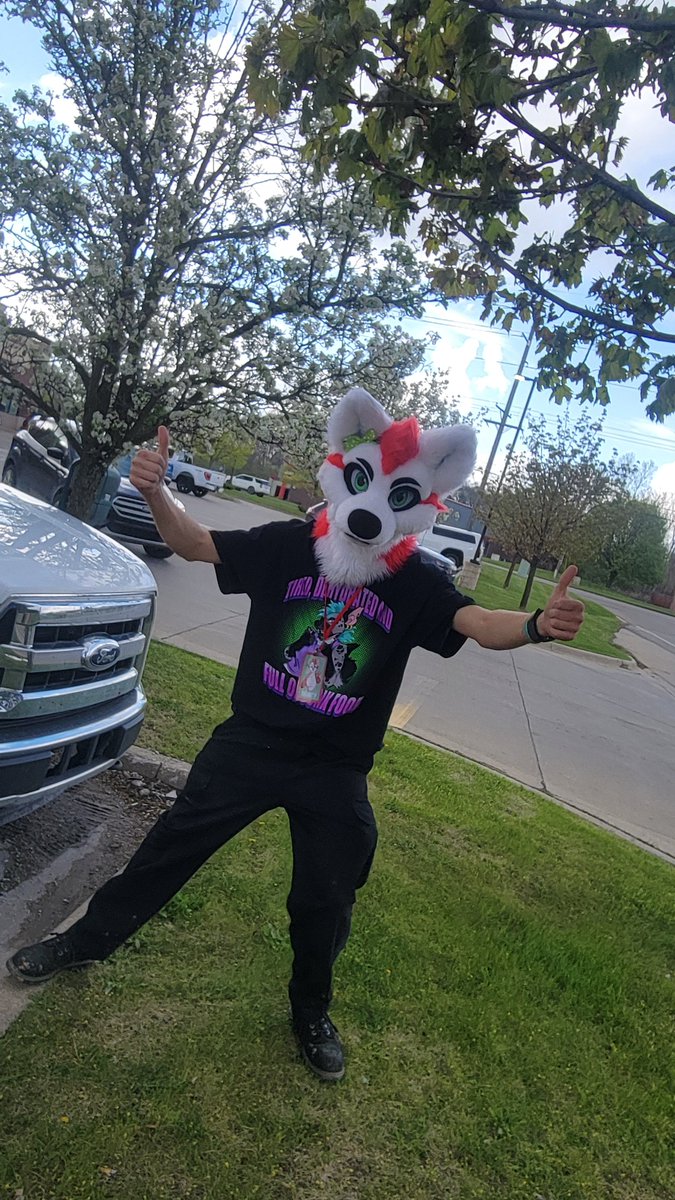ChiliTheHusky's tweet photo. Never posted a pic, but about a week ago I stumbled upon a fursuit head on marketplace and instantly fell in love with it.  Meet Peppermint (Minty) the wolf. I intend to take him to various car shows, furmeets, and just about everything else I can take him to. https://t.co/DNySEJFhqm