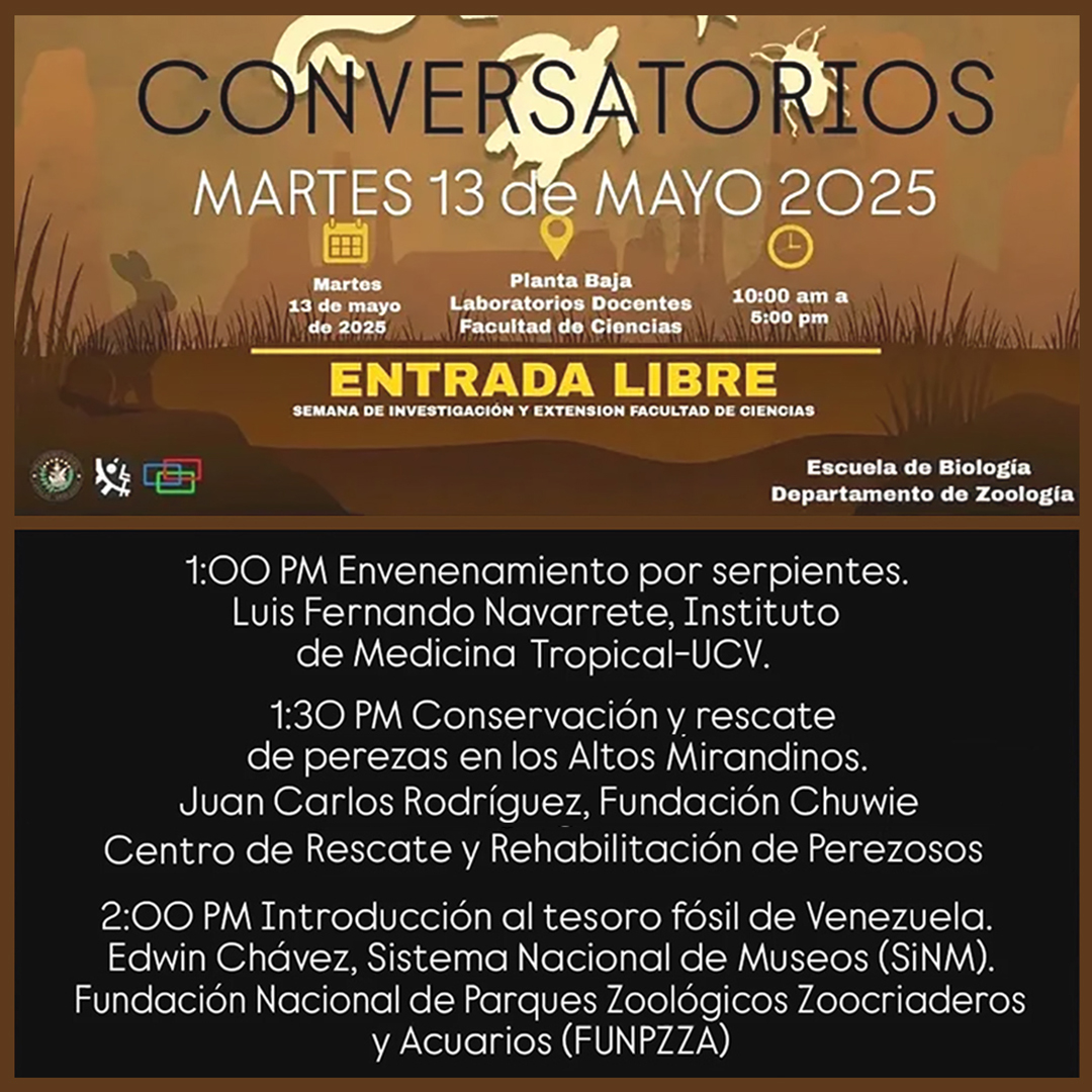 museosdevzla's tweet image. Ven este martes 13 de mayo para dar UN PASEO POR LA ZOOLOGÍA , la feria científica del Departamento de Biología Animal de la UCV. Estaremos de 10:00 a. m. a 5:00 p.m. en la PB de los laboratorios docentes de la Facultad de Ciencias. Ciudad Universitaria de Caracas ¡Te esperamos!