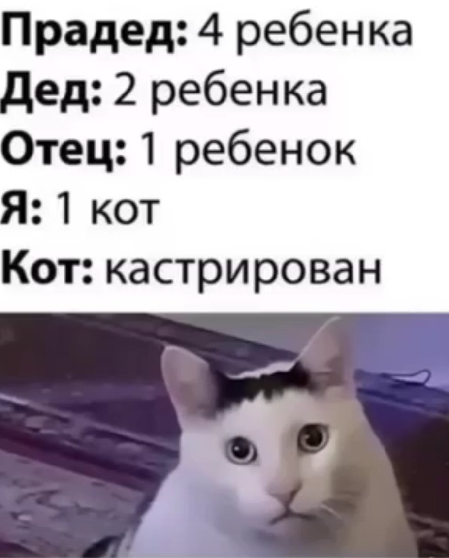 Семейное древо тех, кто орёт в интернетах, что не надо "плодить нищету" 👇
А потом они же жалуются о засилии инородцев?