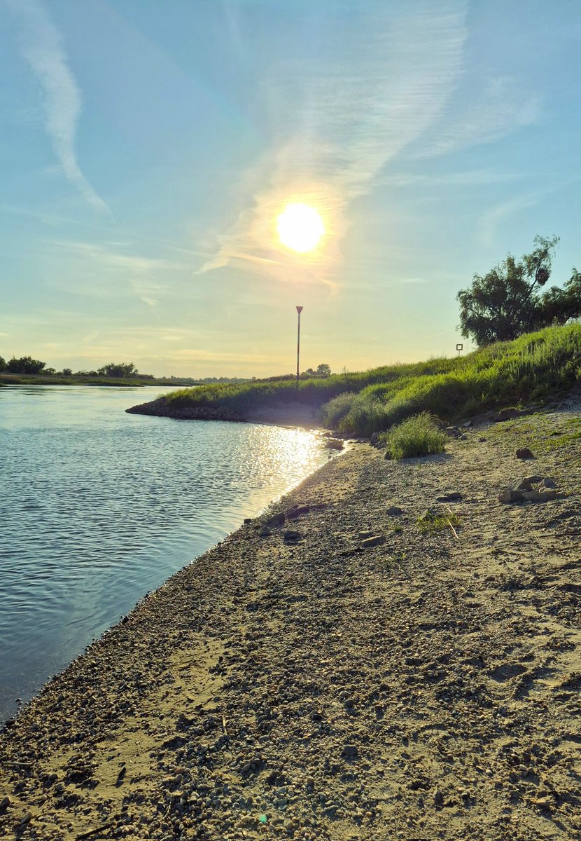 #ElbGassi 🌳☀️