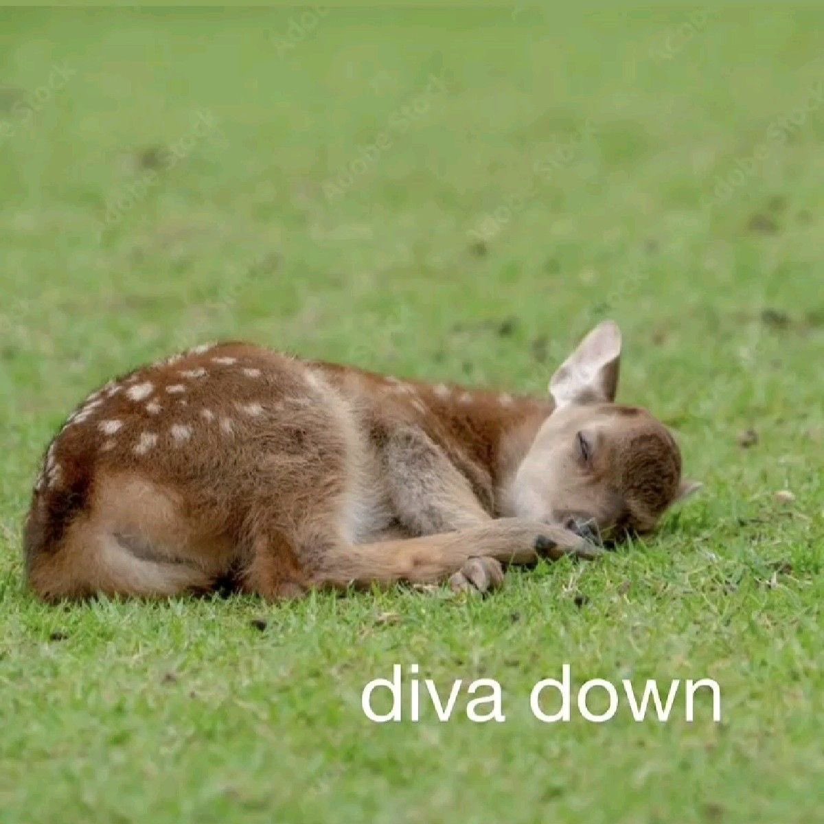 ㅤ