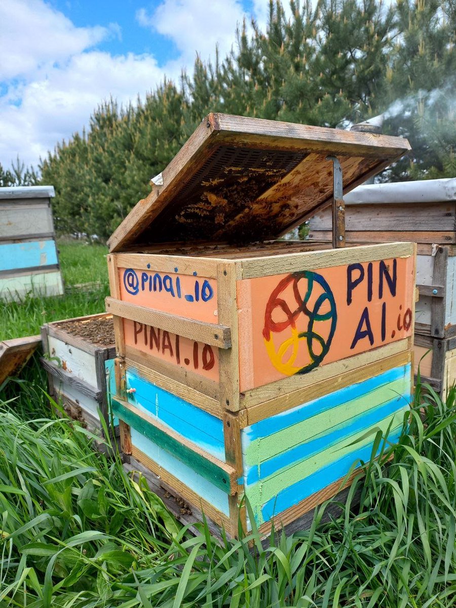 vammedok's tweet photo. Beekeeping is my job, my hobby, and my life. When a bee colony grows, I add another hive box, and I'm also happy to see the wonderful PINAI project family growing too.
#PINAIUkraine
@dakehnyy
@edward_evm
@0xStacy1
@onv1ser https://t.co/1oScd4jrZl