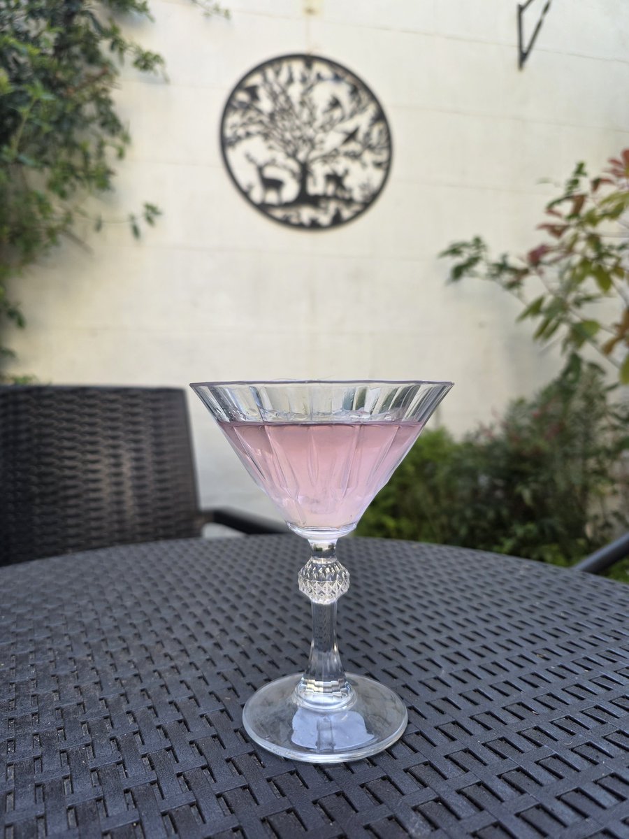 Sat waiting to hear the Mr has landed safely in Texas with a martini using my home infused jasmine and rose gin.