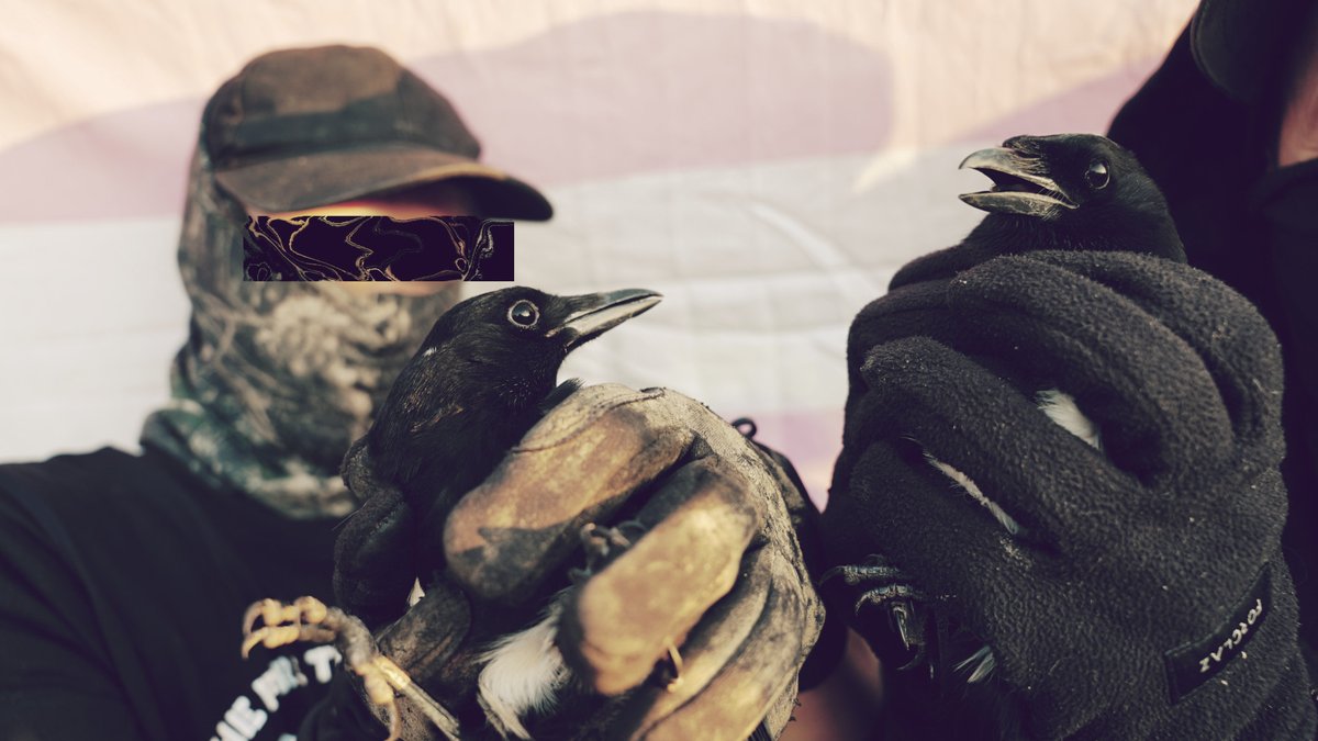 APRIL DIRECT ACTION ROUND UP

unoffensiveanimal.is/2025/05/09/apr…