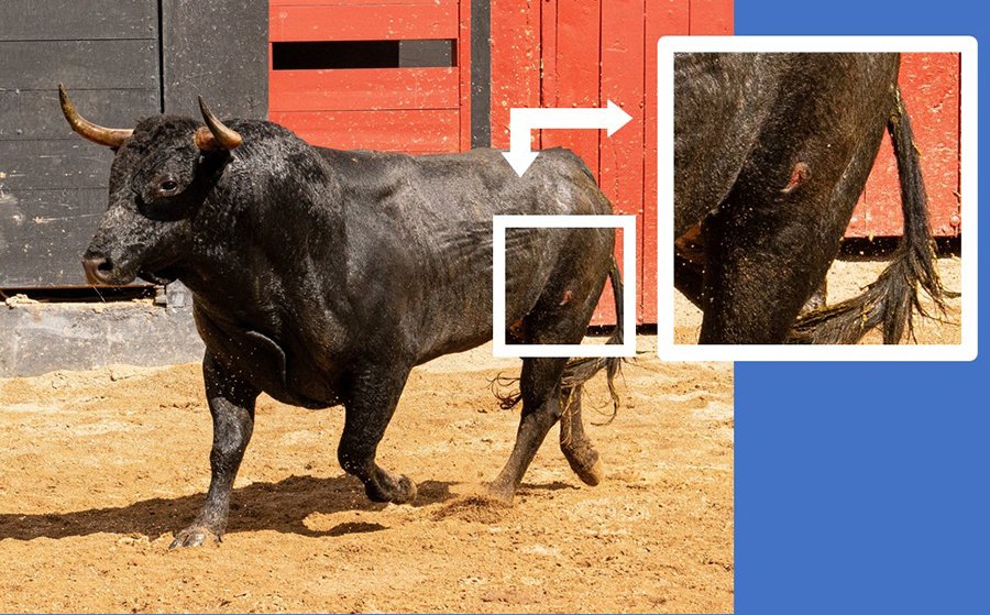 SEVILLA TAURINA (@sevillataurina) on Twitter photo NOTICIAS ST.- Tres toros de Miura son rechazados en el reconocimiento (sevillataurina.com/2025/05/11/tre…) <a href="/sevillataurina/">SEVILLA TAURINA</a> <a href="/ManoloVieraN/">Manolo Viera</a> <a href="/Toromedia12/">Toromedia</a> <a href="/isanchezmejias/">Ignacio Sánchez-Mejías</a> <a href="/maestranzapages/">La Maestranza-Pagés</a> <a href="/UTAMAESTRANZA/">Unión Taurina de Abonados y Aficionados de Sevilla</a> <a href="/eromerotpt/">Enrique Romero</a> <a href="/Toroslidia/">Real Unión de Criadores de Toros de Lidia</a> <a href="/luisdepauloba/">Luis De Pauloba</a> <a href="/AndaluciaJunta/">Junta de Andalucía</a> <a href="/JuntaSevilla/">Junta Sevilla</a> NOTICIAS ST.- Tres toros de Miura son rechazados en el reconocimiento (sevillataurina.com/2025/05/11/tre…) <a href="/sevillataurina/">SEVILLA TAURINA</a> <a href="/ManoloVieraN/">Manolo Viera</a> <a href="/Toromedia12/">Toromedia</a> <a href="/isanchezmejias/">Ignacio Sánchez-Mejías</a> <a href="/maestranzapages/">La Maestranza-Pagés</a> <a href="/UTAMAESTRANZA/">Unión Taurina de Abonados y Aficionados de Sevilla</a> <a href="/eromerotpt/">Enrique Romero</a> <a href="/Toroslidia/">Real Unión de Criadores de Toros de Lidia</a> <a href="/luisdepauloba/">Luis De Pauloba</a> <a href="/AndaluciaJunta/">Junta de Andalucía</a> <a href="/JuntaSevilla/">Junta Sevilla</a>