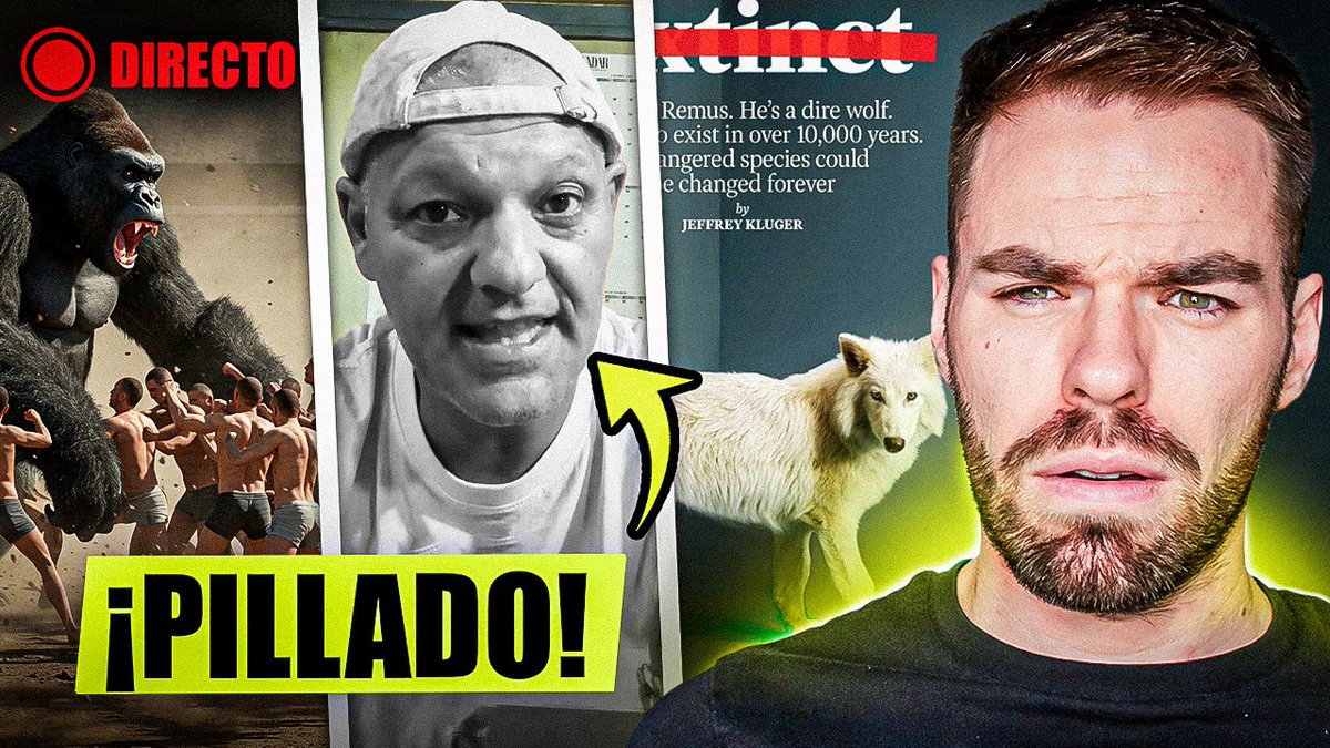 🔴Hoy a las 18:15 en mi canal de YT🔴
ESPECIAL 100K Subs🎉: Opinión polémica FRANK CUESTA, Gorila vs Humanos, Lobo terrible