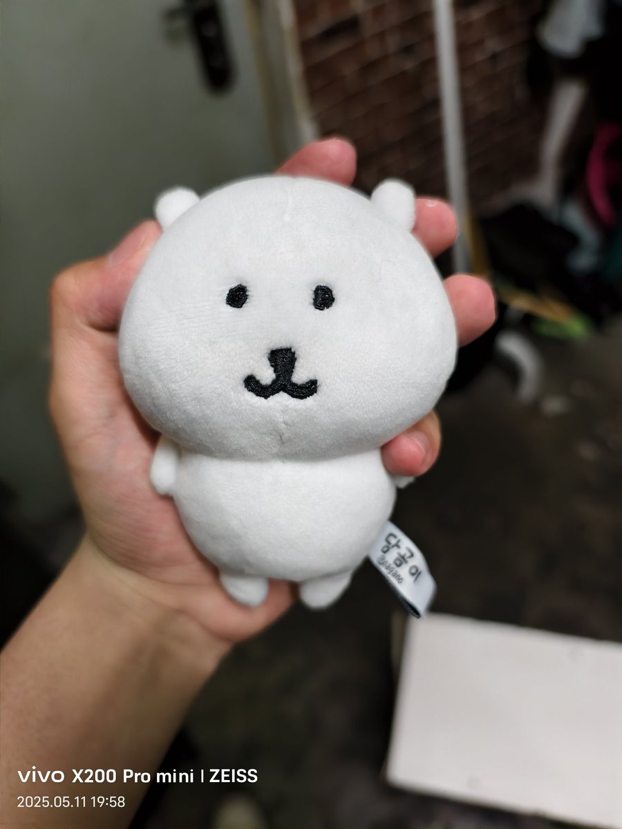 怎么洗熊宝宝们