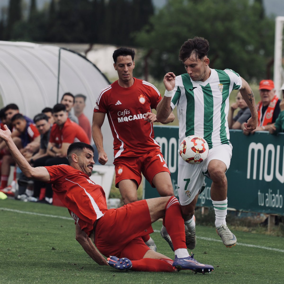 Cantera_CCF's tweet photo. 📸 GALERÍA ||
Las mejores imágenes del #CórdobaB 1 - @UTRERACD 1 , último partido liguero del filial blanquiverde
#CCFBUtrera | #TerceraRFEF https://t.co/qEpQVOxDjx