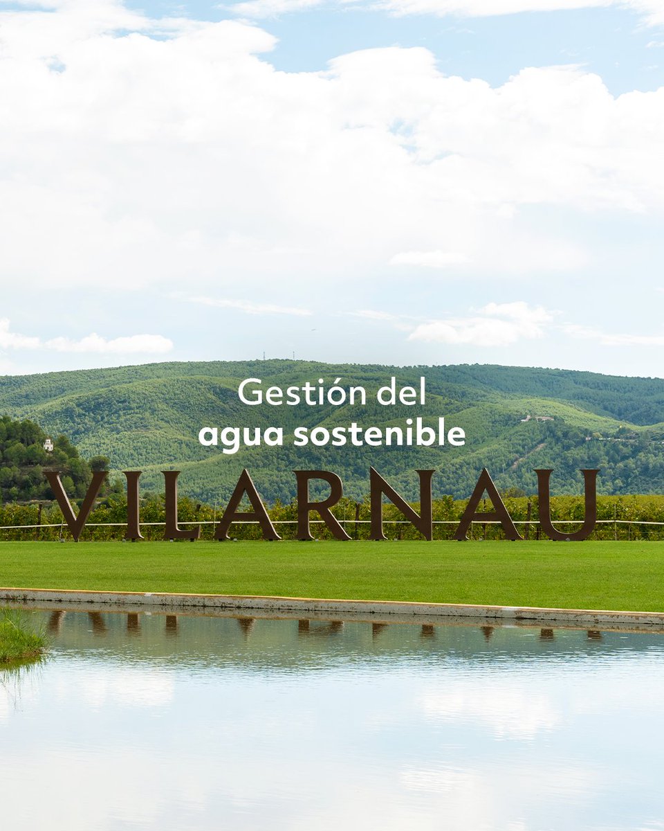 No son solo burbujas 🫧
Son señales de que algo bueno está a punto de pasar.

Aquí van 3 razones por las que la cava de Vilarnau just makes sense.

#CavaVilarnau