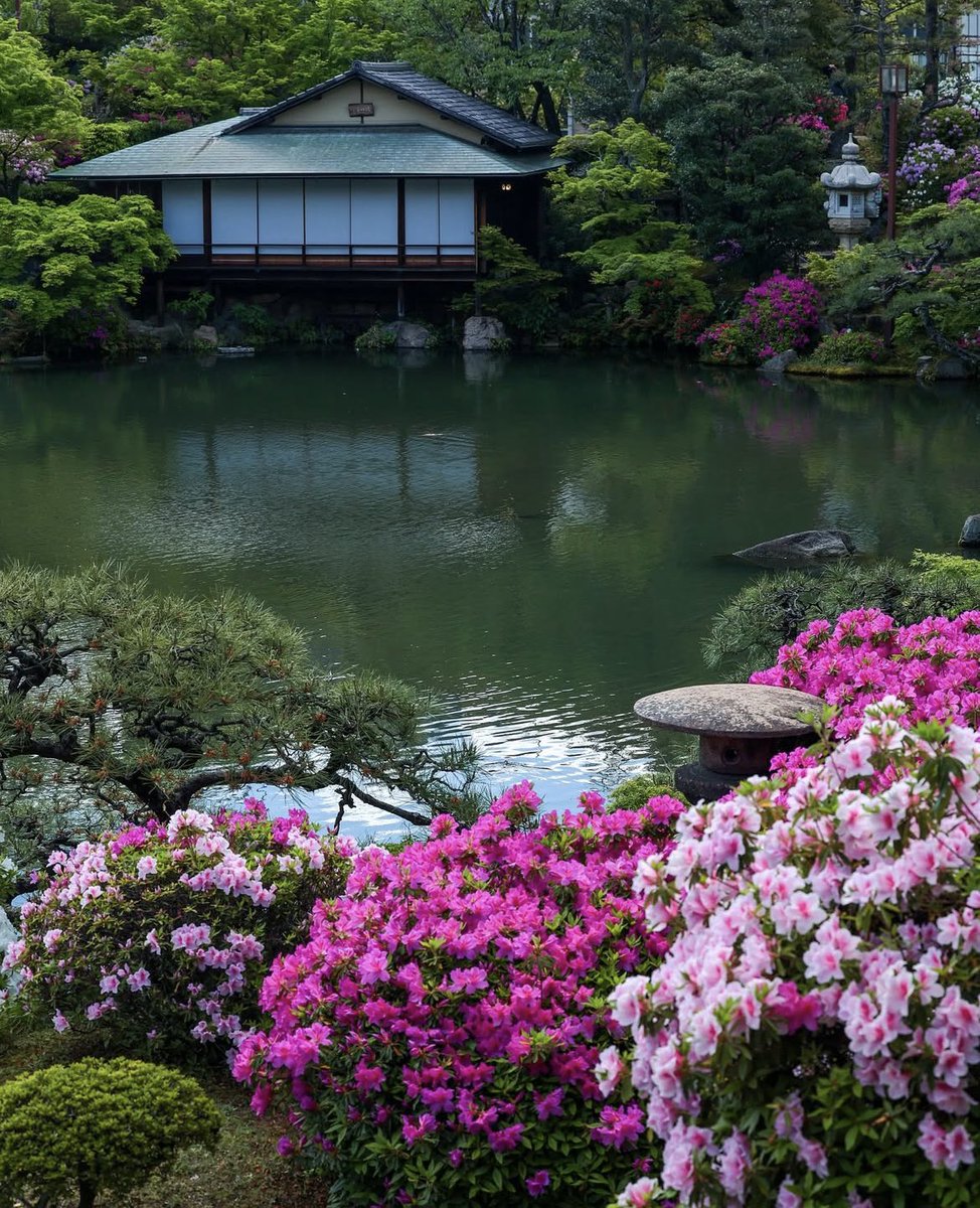 Kleurenpalet…
(Foto Junichiro Takikawa) #Kyoto #Japan