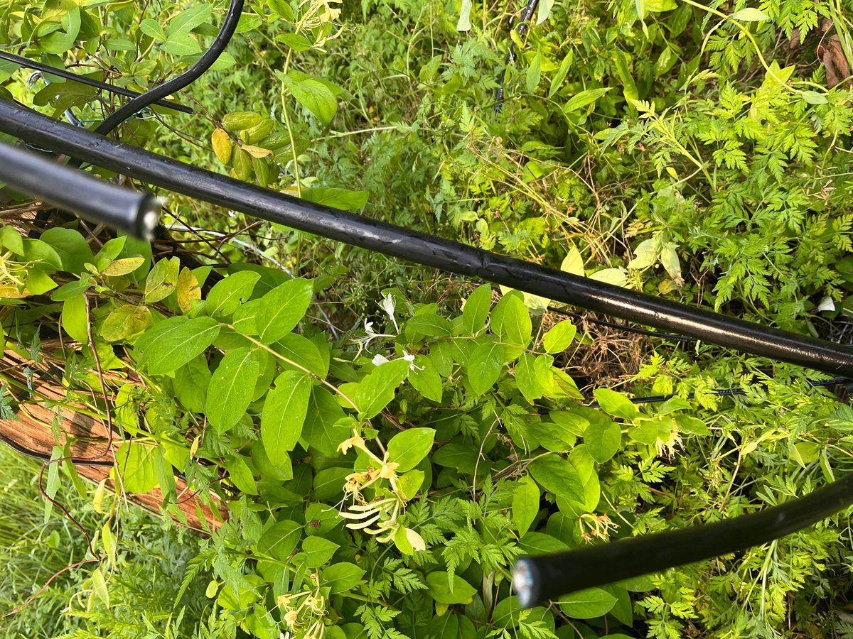 CentralOkTelCo's tweet photo. Overnight, someone used bolt cutters to cut our fiber behind the St. Cloud building in Chandler. This is also the temporarily repaired fiber that was damaged during the March wind storm. https://t.co/YekyNfyWmz