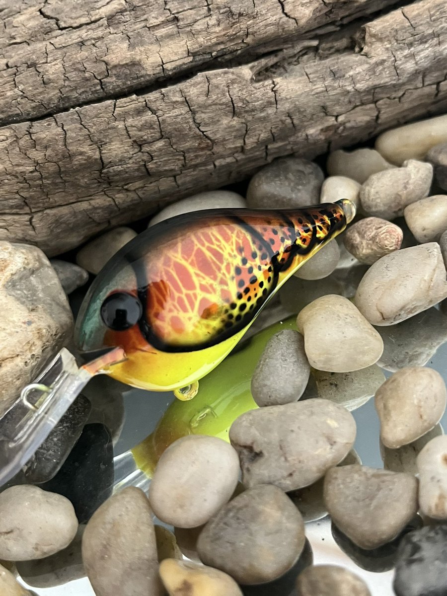 Scott Wilson (PsychoFishLures) tweet media
